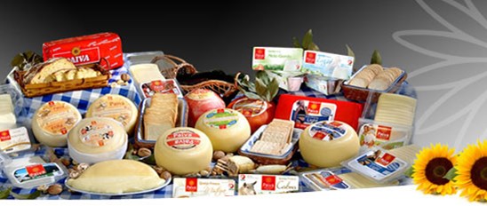 Cheese Banner Image