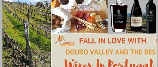 Douro Wines Banner Image